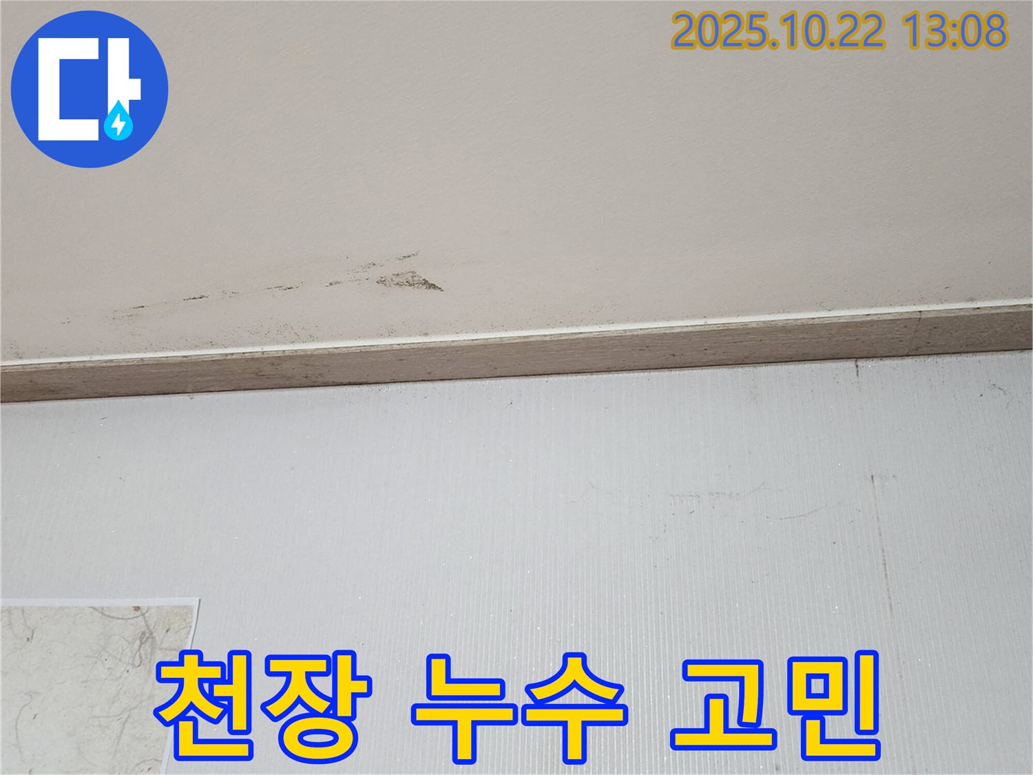 양주시 은현면 천장 누수 - 누수 고민 해결