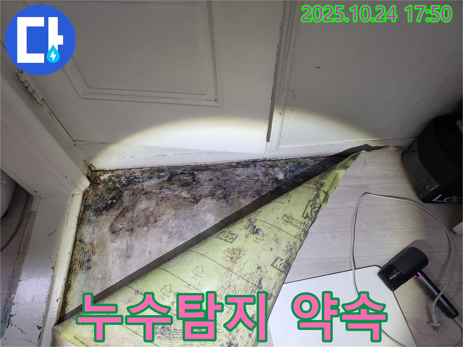 서초 누수탐지 전문 - 양재동 현대빌라 곰팡이 누수, 확실한 해결을 약속드립니다.