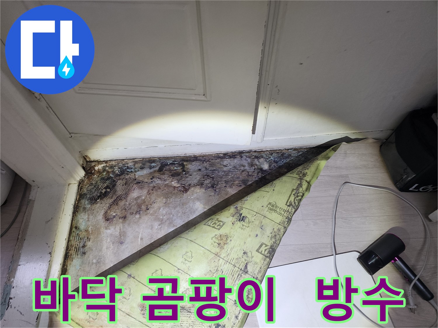 양재동 누수 현장 - 심하게 번식한 바닥 곰팡이와 습기