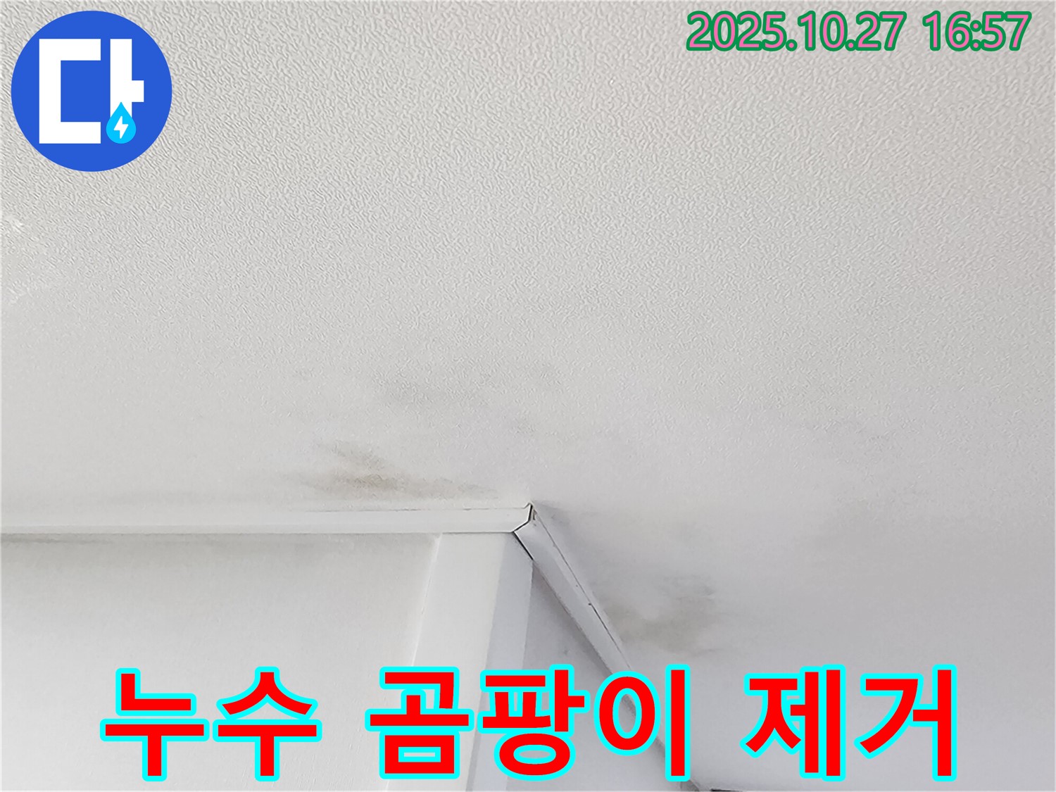 동작구 만양로 누수 해결 - 천장 곰팡이 제거 및 누수 원인 완벽 차단 전문 업체