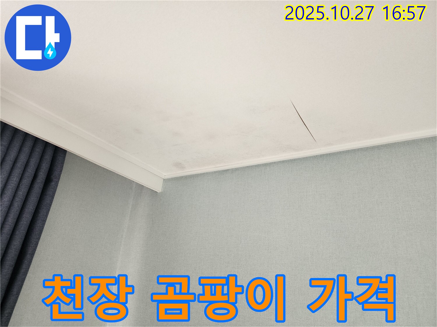 동작구 만양로 천장 누수 - 합리적인 가격으로 곰팡이 문제 해결