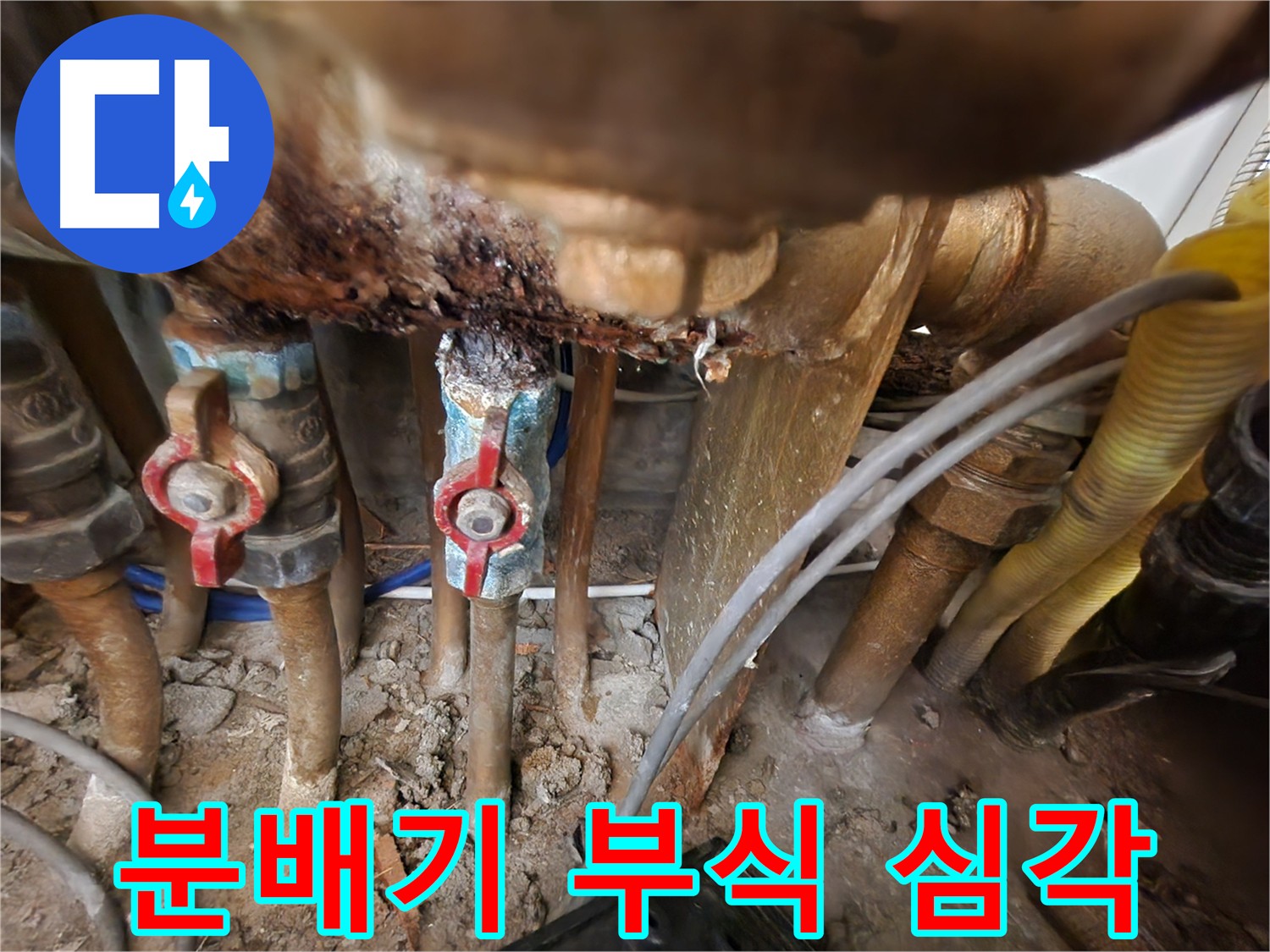 분배기 부식 문제 - 정확한 진단과 최적의 해결책 제시