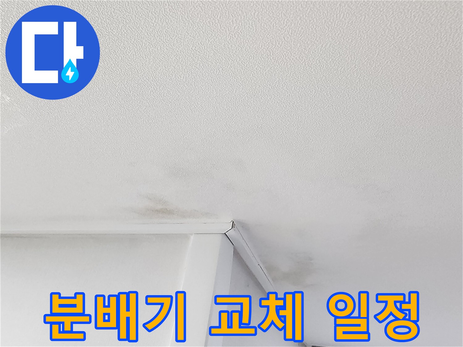 천장 누수 곰팡이 - 건강 위협 - 원스톱 서비스 제공