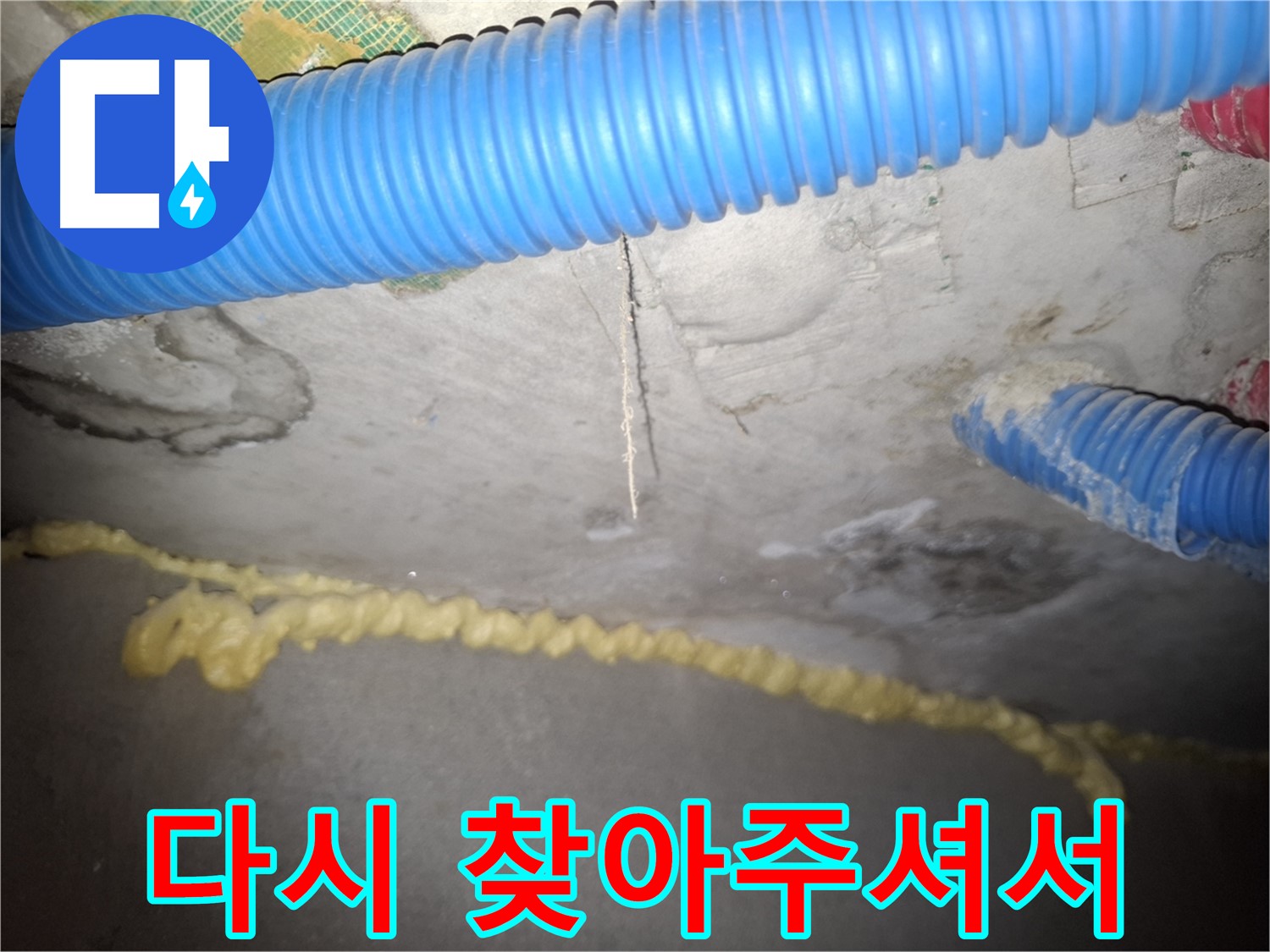 다시 찾아주셔서 정말 감사합니다 - 신풍동 누수