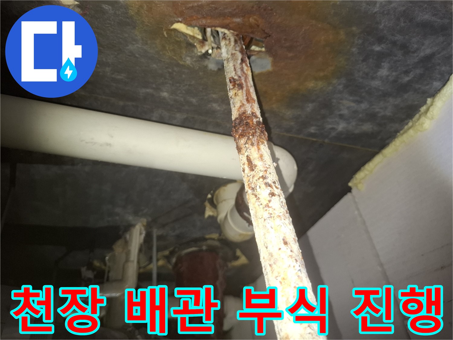 수원 신풍동 누수 현장에서 천장 배관의 부식 진행 상태를 확인하고 있습니다 - 부식은 누수의 전조 증상입니다.