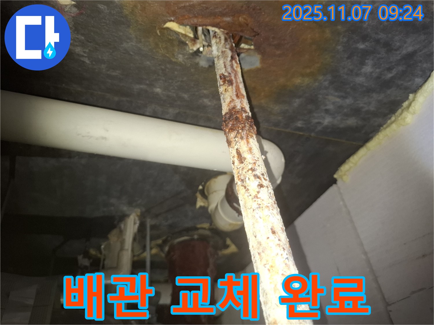 수원 팔달구 신풍동 누수 현장 - 솜털 곰팡이 핀 배관을 새 배관으로 깨끗하게 교체하여 누수를 해결했습니다.