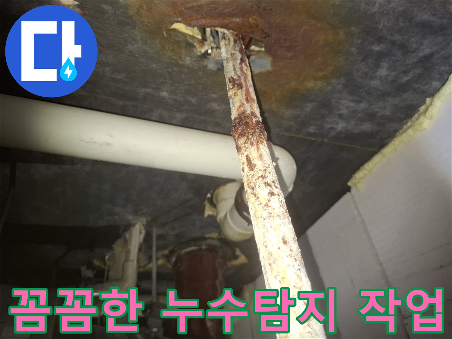 수원 팔달구 신풍동에서 누수탐지 전문가가 꼼꼼하게 누수 지점을 찾고 있습니다 - 정확한 누수 지점 파악은 효과적인 누수 공사의 첫걸음입니다.