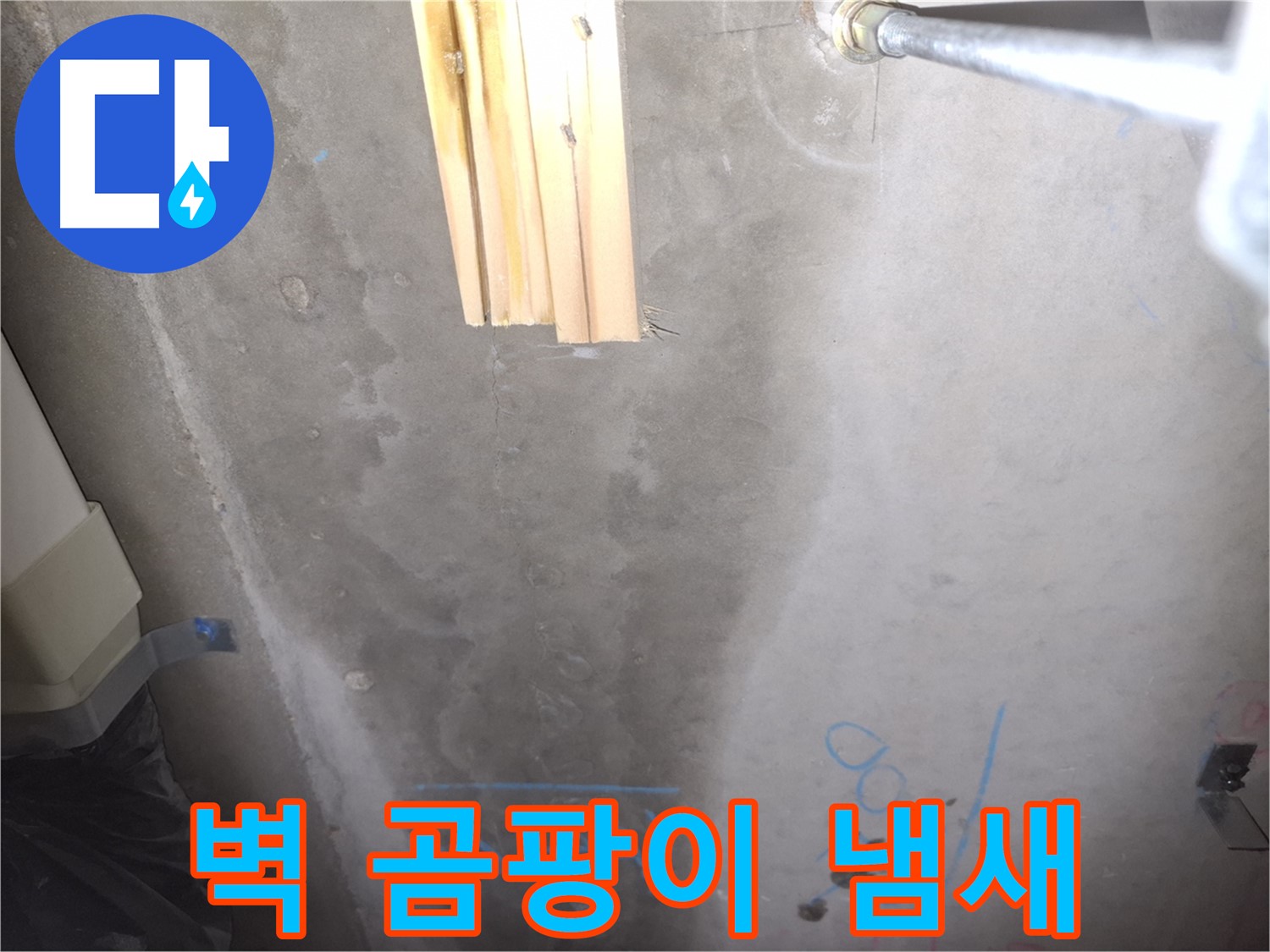 콘크리트 벽 누수 - 곰팡이 냄새