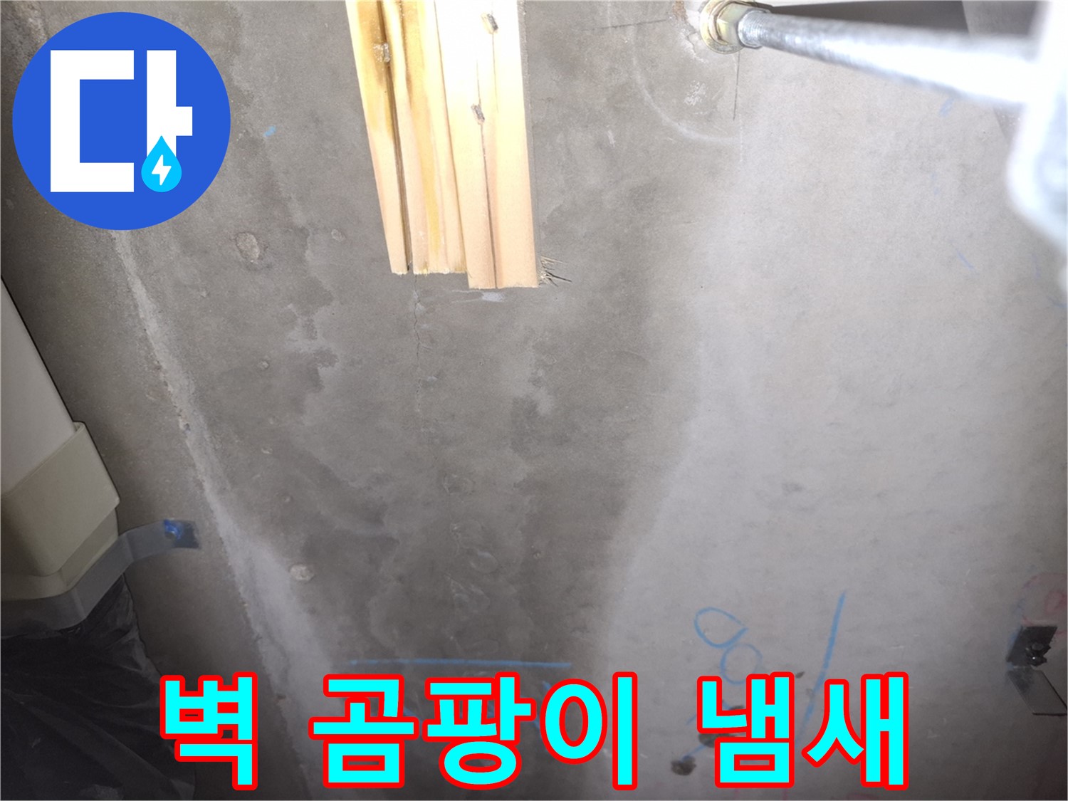 콘크리트 벽 누수 - 곰팡이 냄새 확인