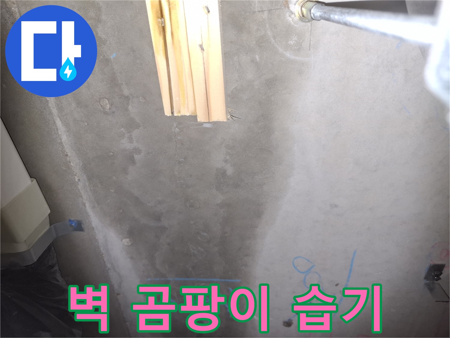콘크리트 벽 누수 - 곰팡이와 습기