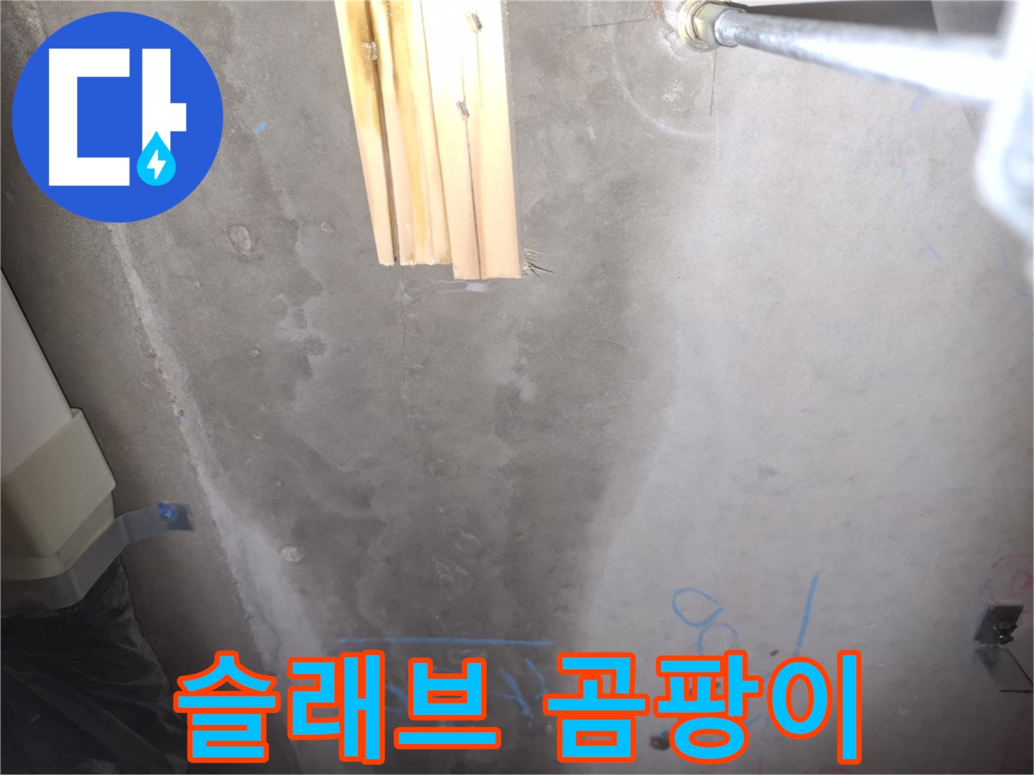콘크리트 슬래브 누수 - 곰팡이
