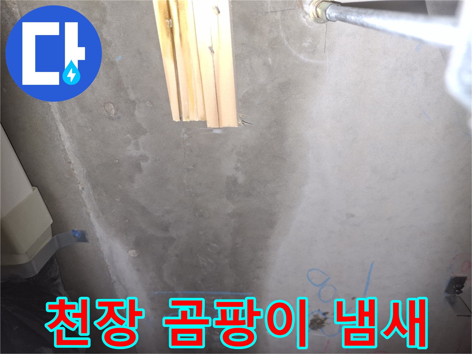콘크리트 천장 누수 - 곰팡이 냄새 확인