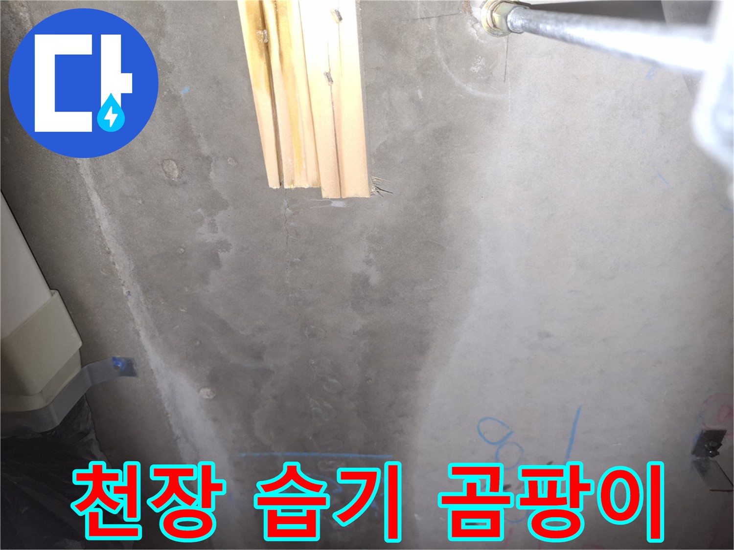 콘크리트 천장 누수 - 습기와 곰팡이, 건강 위협