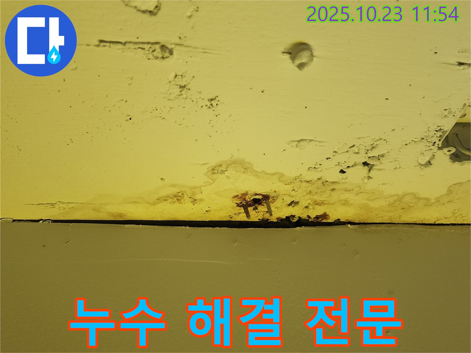 양주시 은현면 하패리 - 천장 누수 해결 전문 업체, 확실한 결과를 보장합니다.