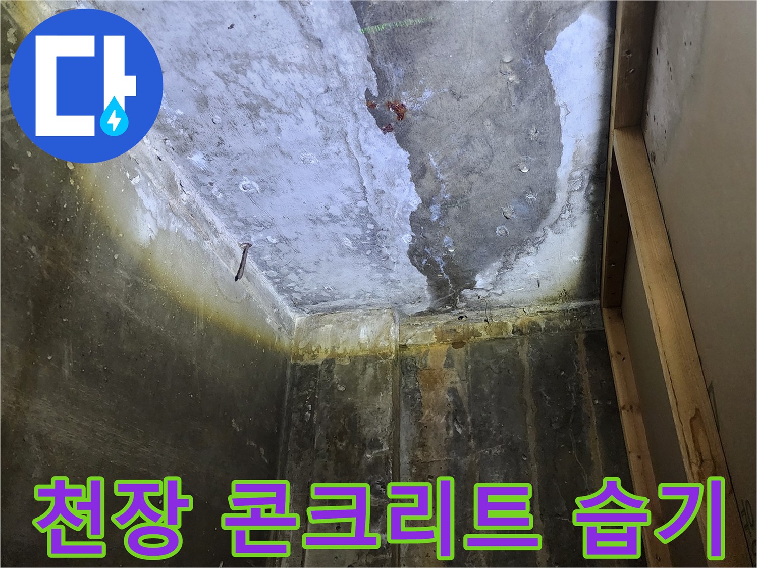 양주시 하패리 현장-콘크리트 슬래브에 배어 있는 습기와 오염 흔적