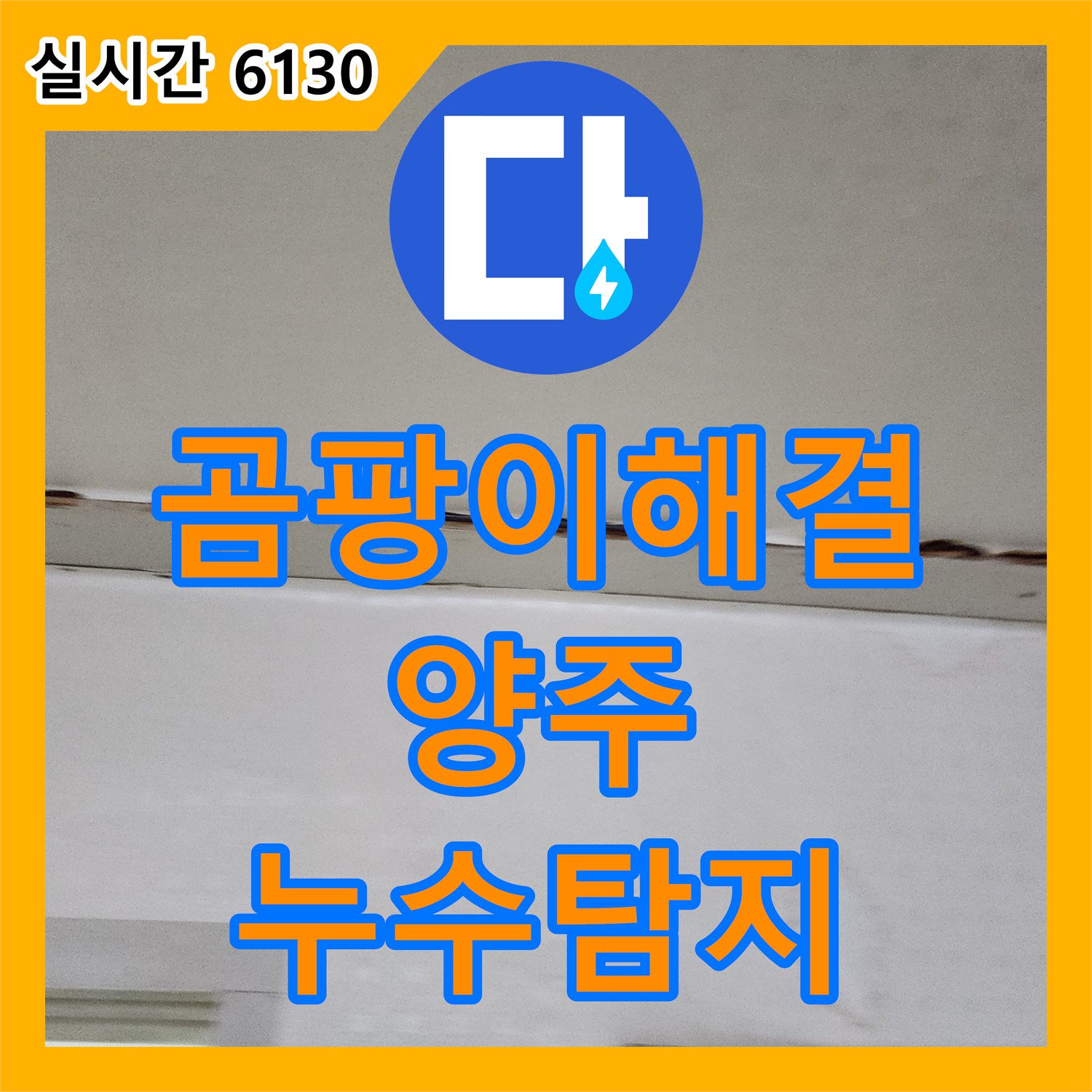 양주 누수탐지, 곰팡이 핀 벽, 정확한 원인 파악과 해결!