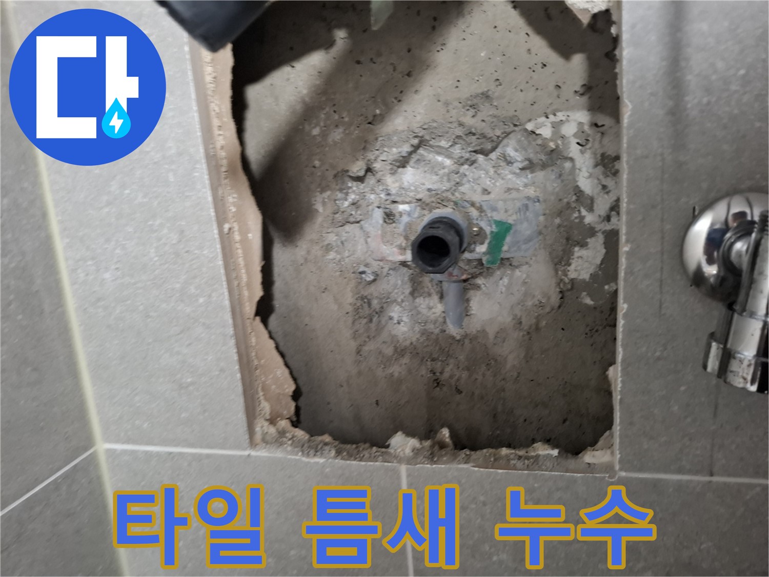 고양시 덕양구 지축동 타일 틈새 누수 - 꼼꼼한 점검으로 원인을 찾습니다.