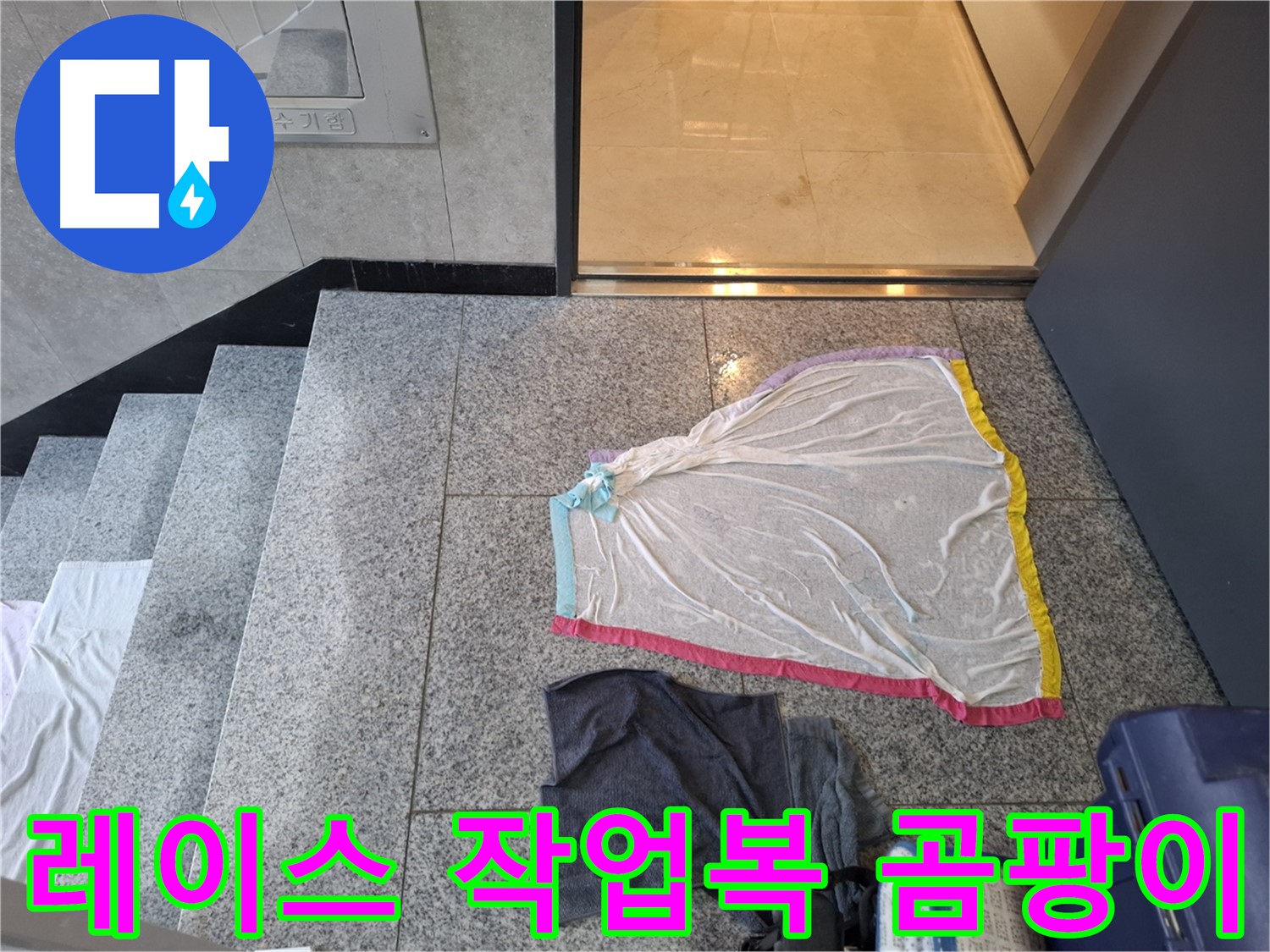 레이스 덮개와 작업복 - 곰팡이 천국