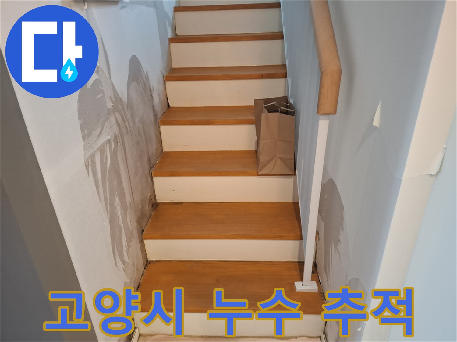 벽 속 숨은 물길 - 첨단 장비로 끝까지 찾아 해결!