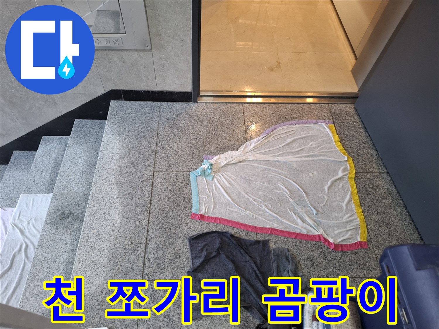 알록달록 천 쪼가리와 작업복 - 곰팡이 파티?
