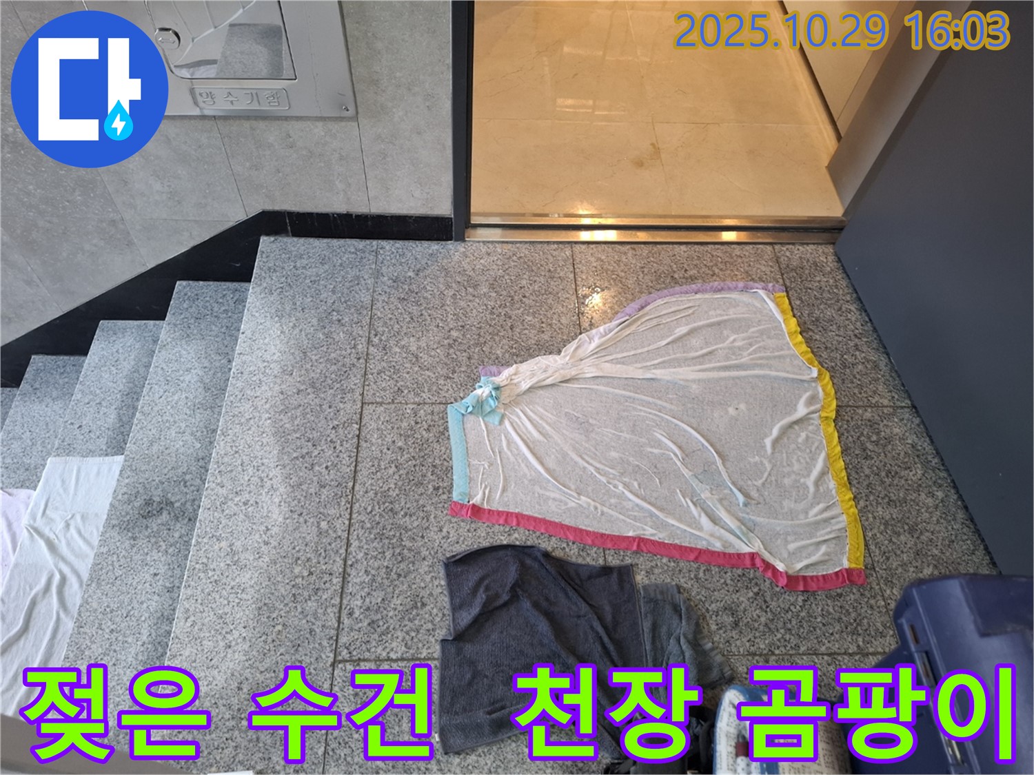 지축동 누수 현장 - 젖은 수건, 계단 천장 곰팡이, 누수 또는 결로