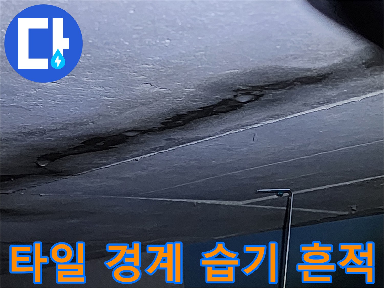 욕실 타일 사이로 스며든 물자국과 변색된 부위