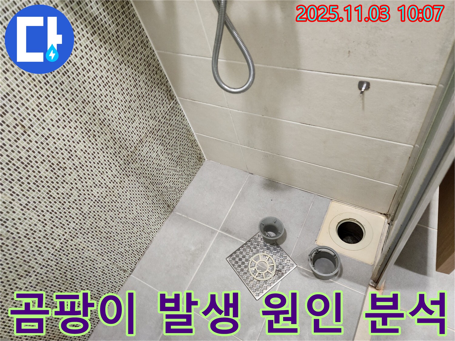 금호동 신금호파크자이 욕실 - 배수구 주변 곰팡이 발생 원인을 분석하고 누수와의 관련성을 확인