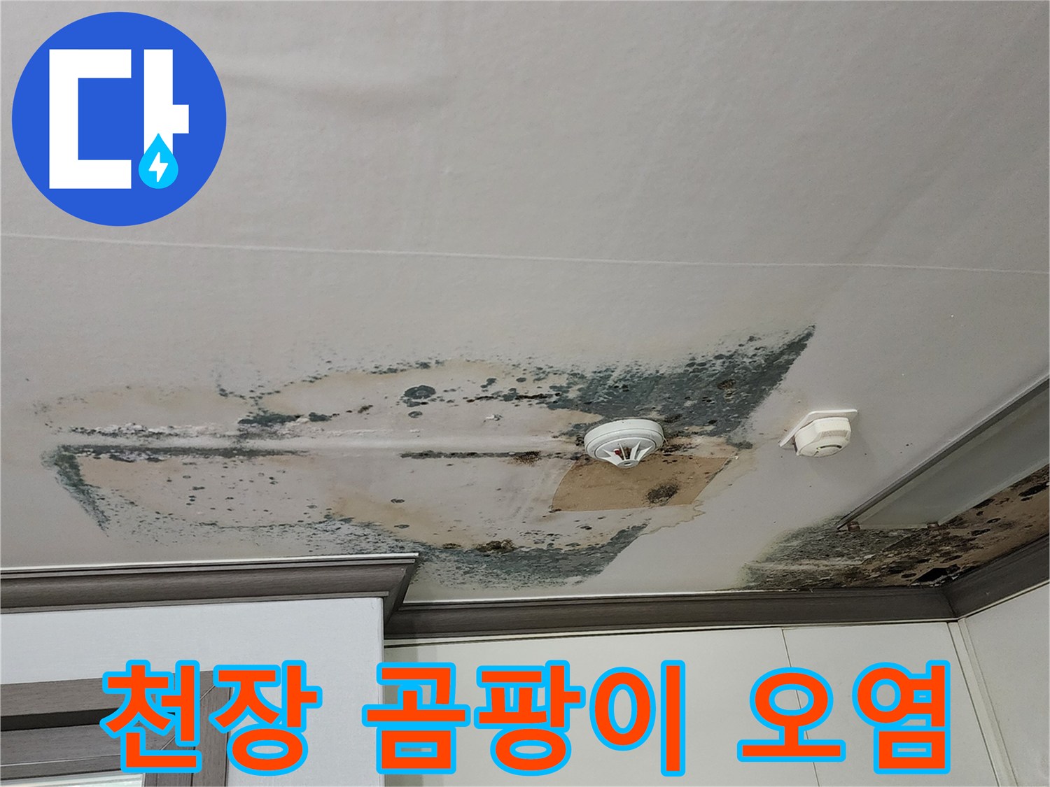 누수 피해 부위-검은 곰팡이가 심하게 번진 천장 벽지