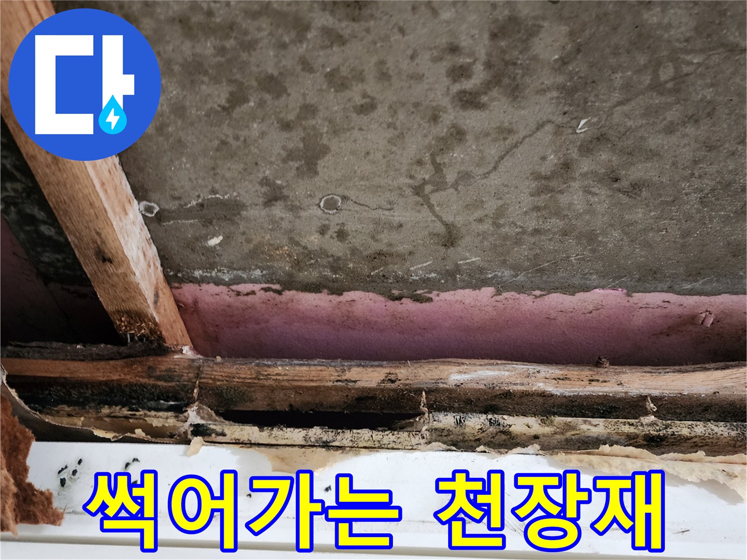 누수물길을따라-부식된-천장 내부 자재