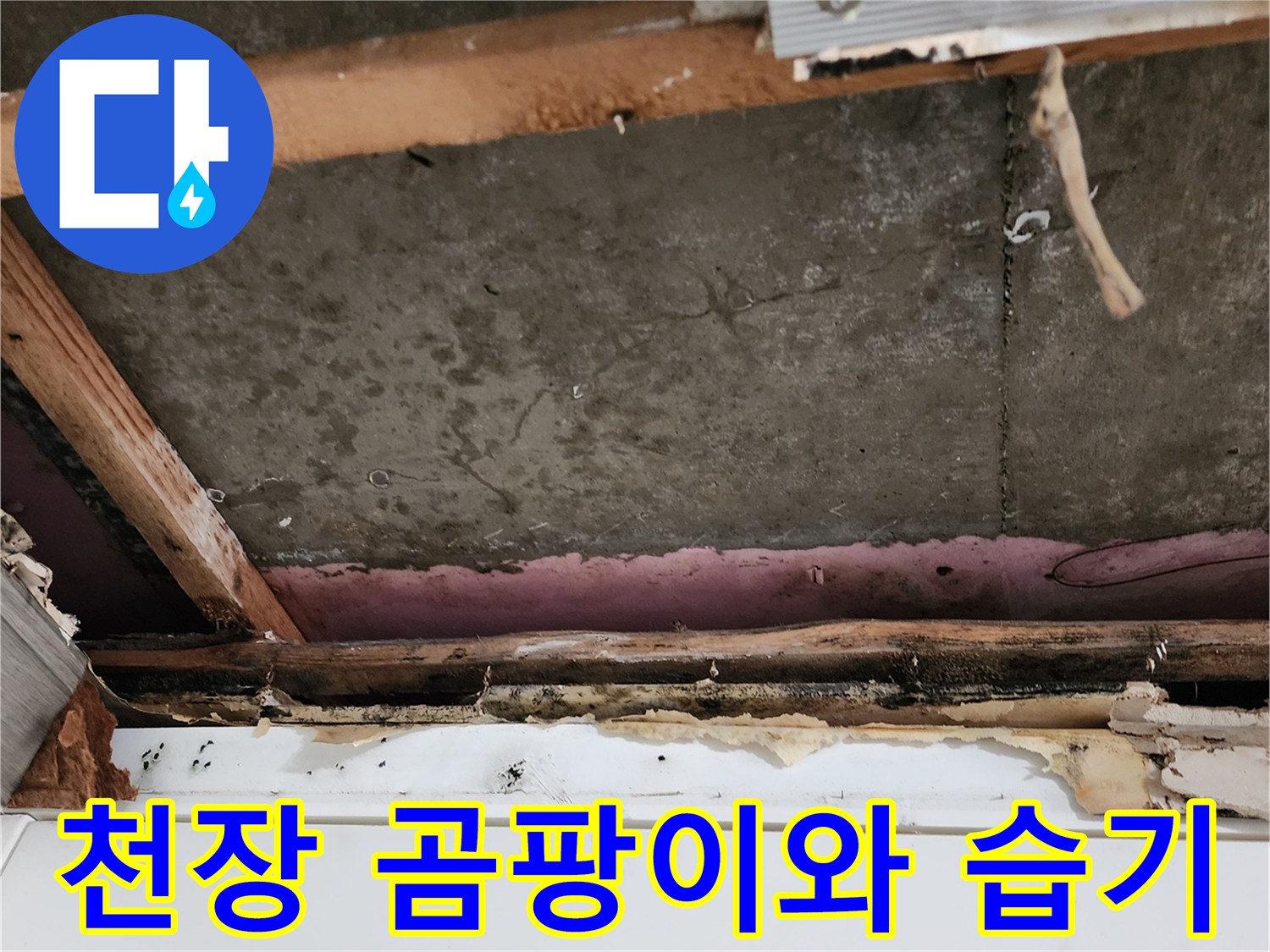 습기로-인해-오염된-천장-내부-자재-상태