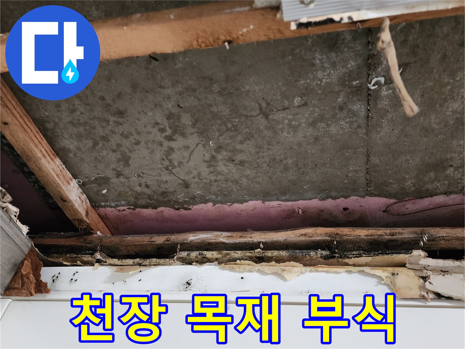 천장-지지대-목재-부패-및-습기