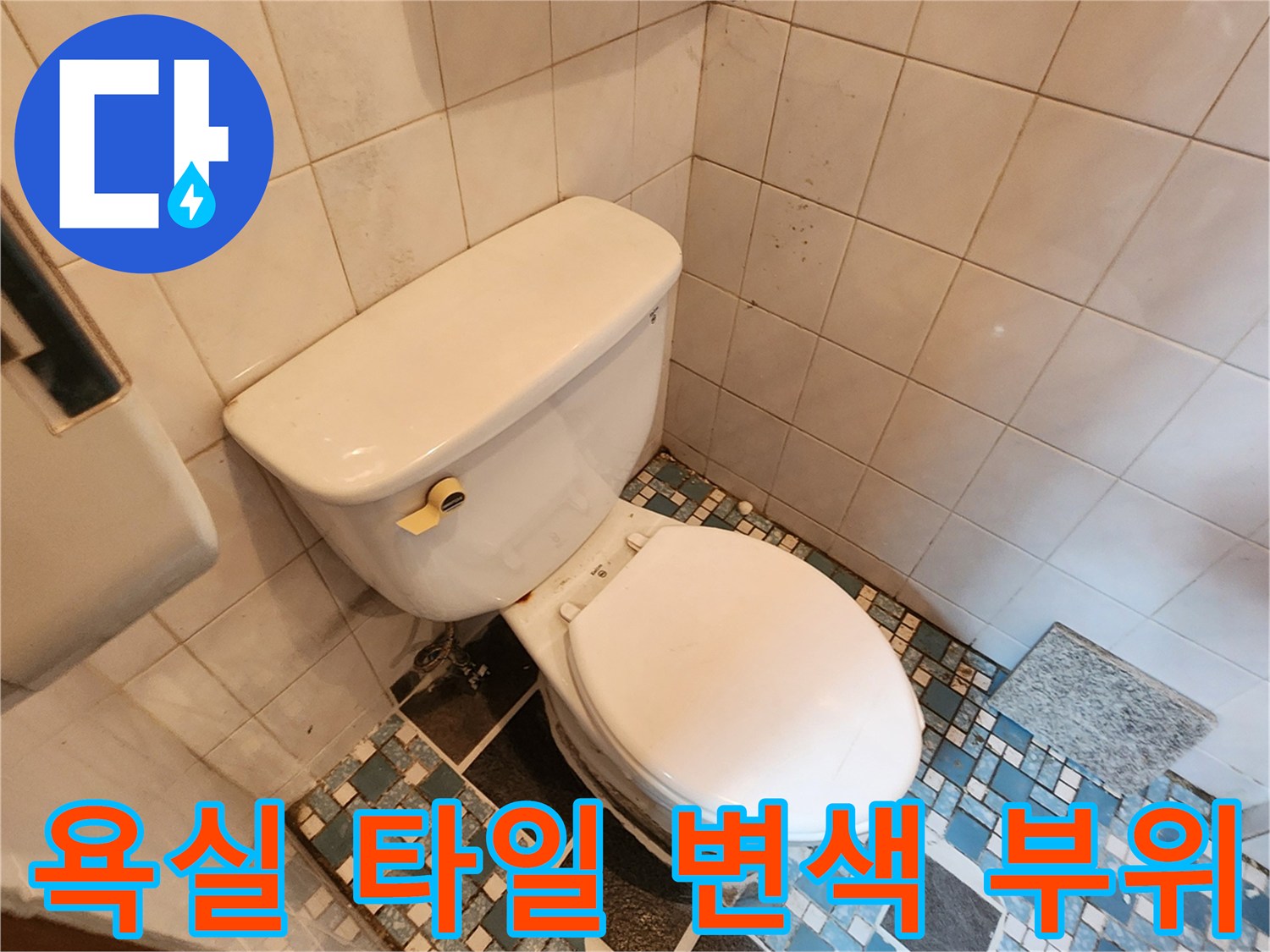 변기 뒤쪽 벽면 타일에 나타난 습기로 인한 곰팡이와 얼룩