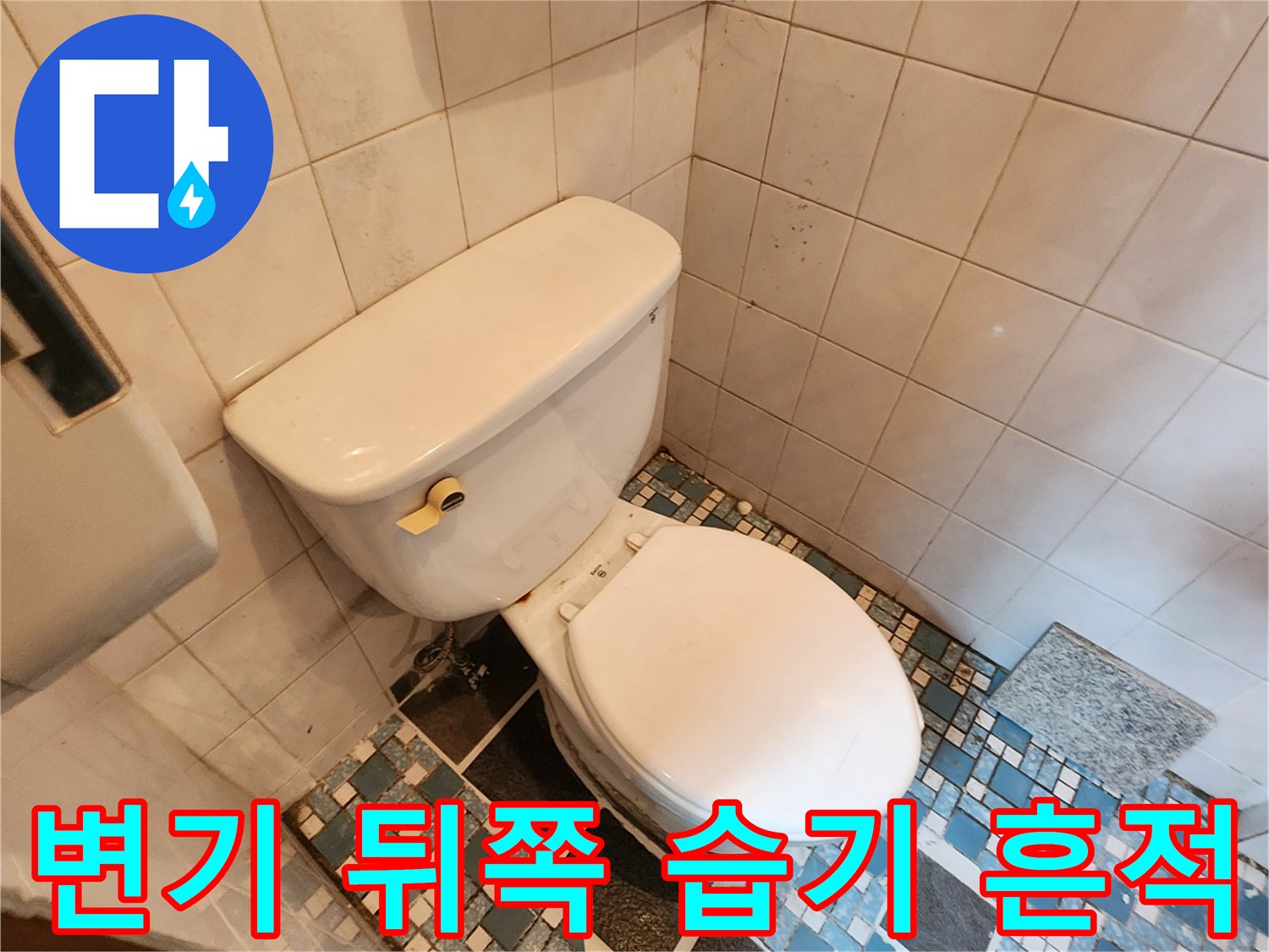양주 화장실-변기 뒷벽 타일에 나타난 물기 및 곰팡이