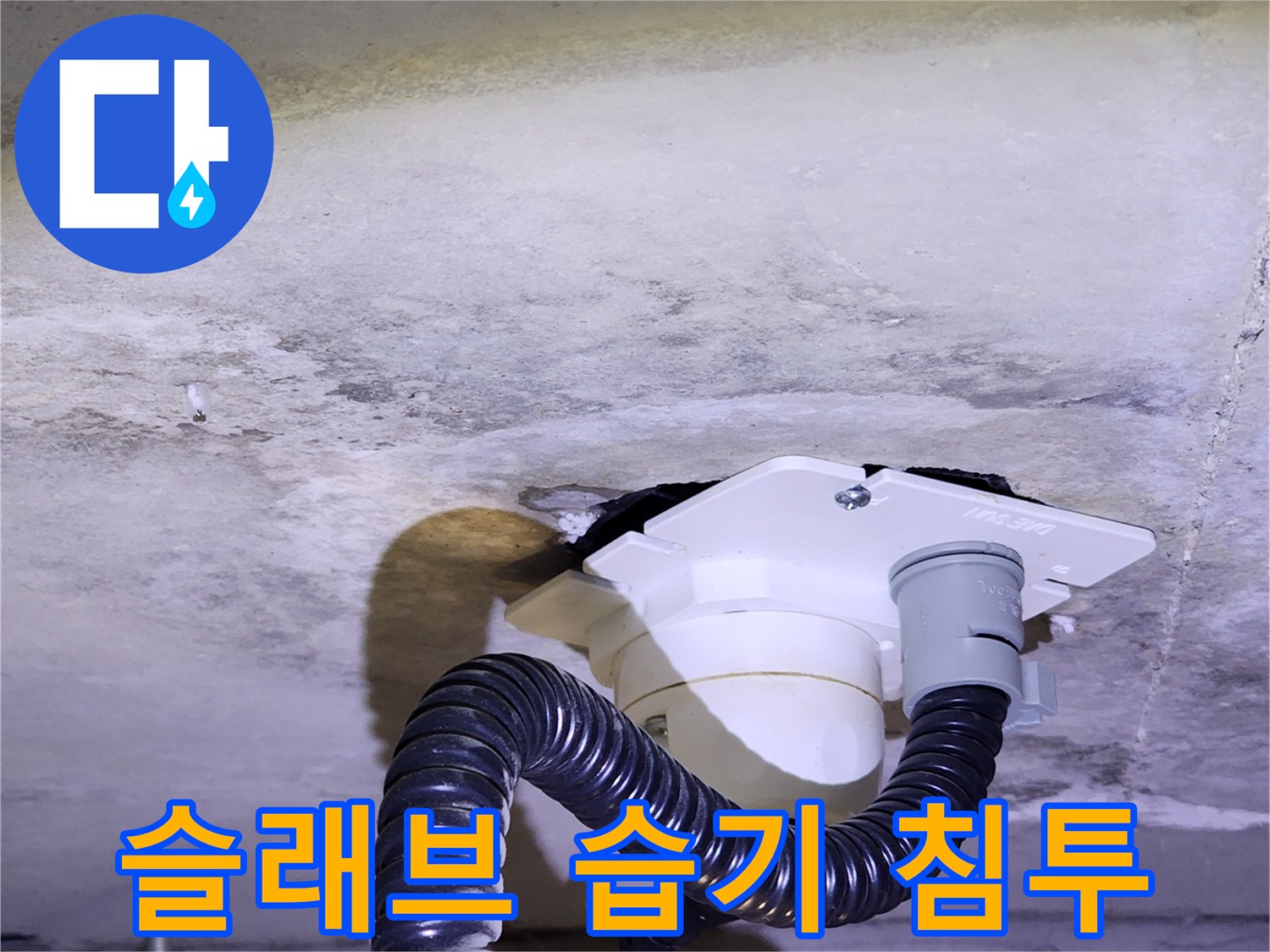 천장 콘크리트 면에 나타난 짙은 습기 자국
