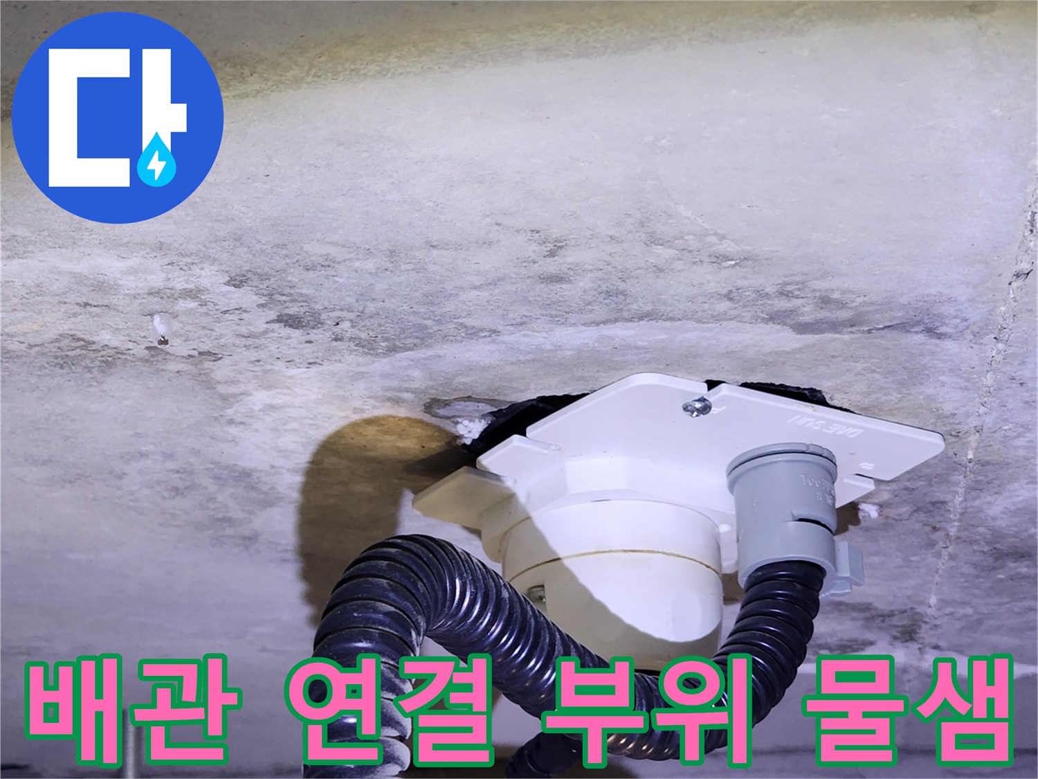 하단 배수 호스 - 천장 배관 주변의 젖은 콘크리트 표면 관찰