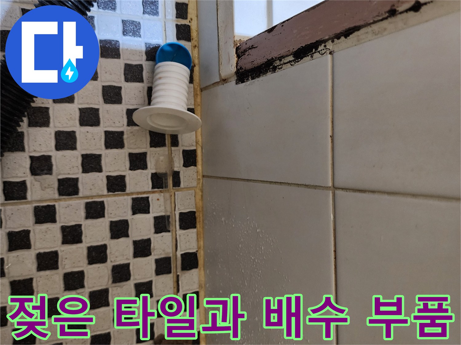 물기가 스며든 화장실 바닥재와 배수구 주변 상황