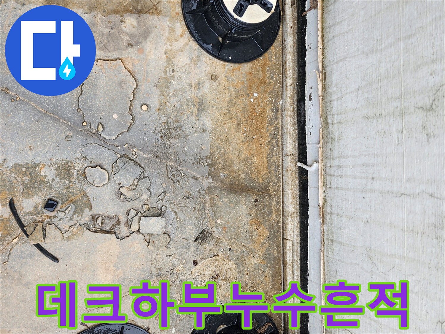 양주 산북동-습기와 오물이 섞인 데크 아래 바닥 상태