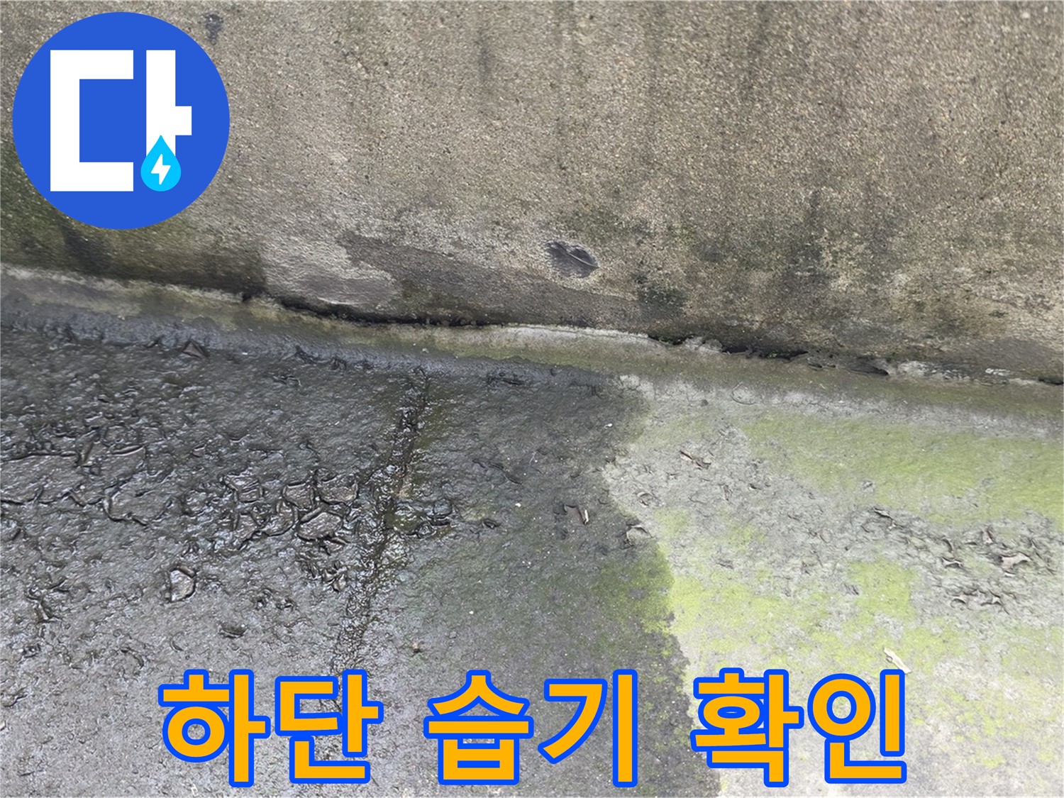 구리시 인창동 건물 하단 습기 상태 점검 사진