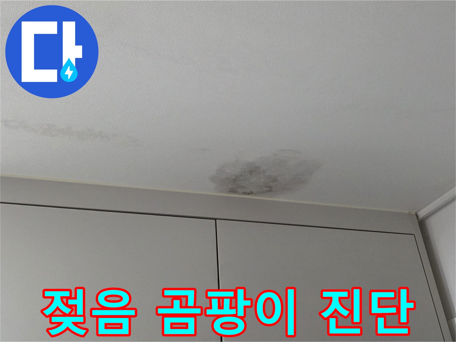 구리시 인창동 누수 - 천장 젖음 곰팡이 빠른 진단 필수