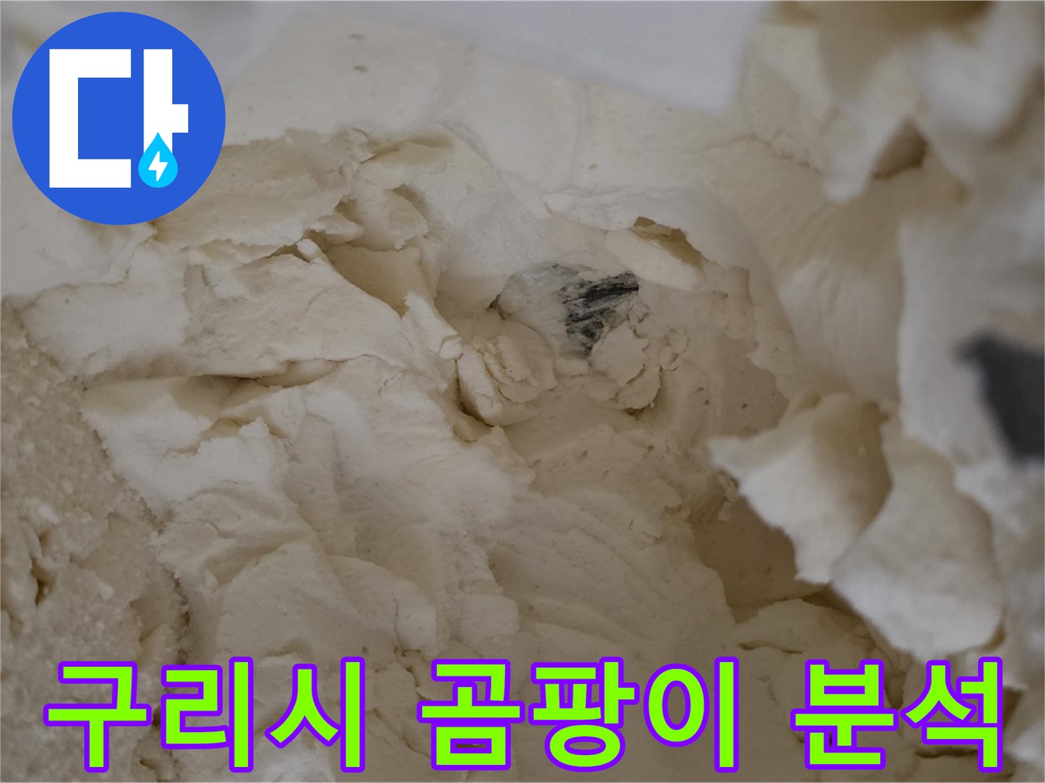 문제 해결을 위한 곰팡이 분석 - 낡은 보온재 속 배관