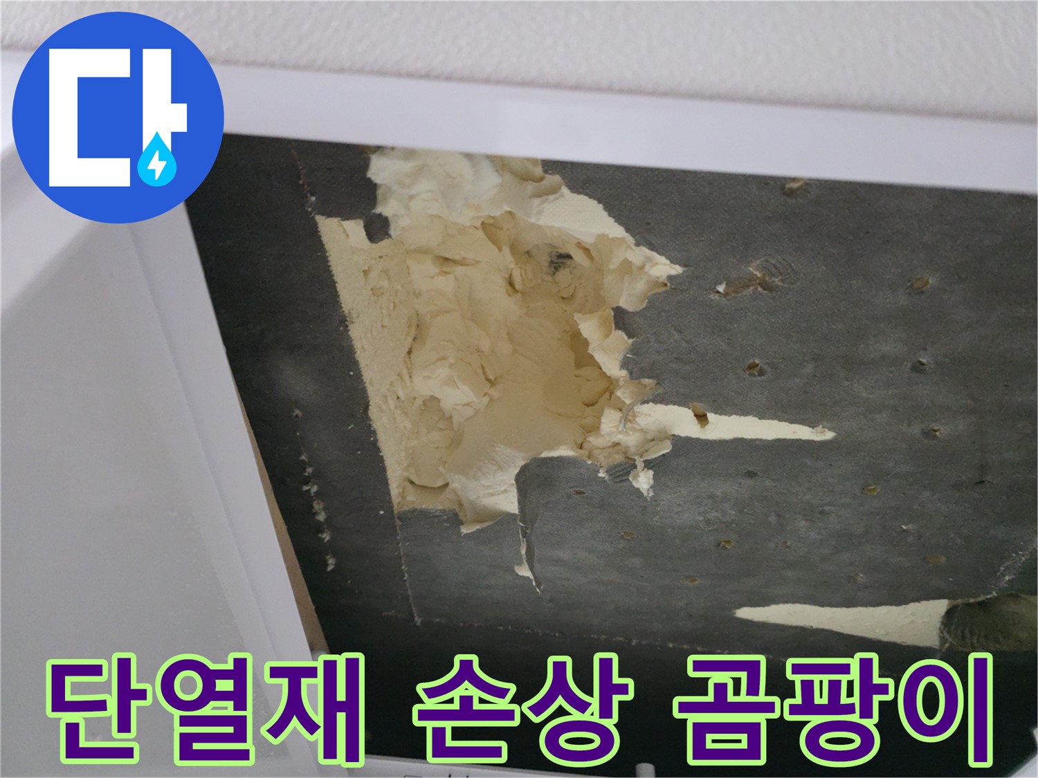 손상된 단열재와 곰팡이 - 건강에 해로운 환경