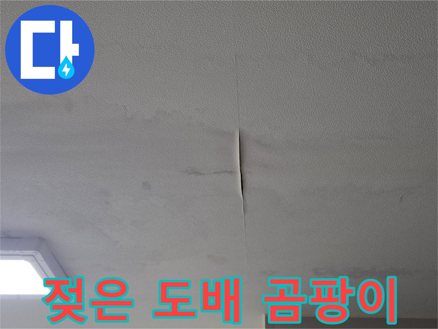 천장 누수 - 젖은 도배와 곰팡이 초기 증상 발견