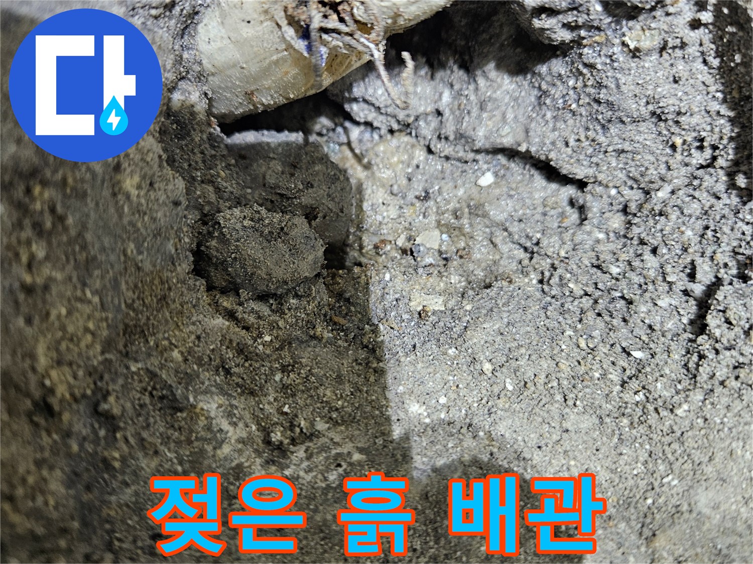 양평 용문 누수 - 젖은 흙과 배관 - 누수 의심