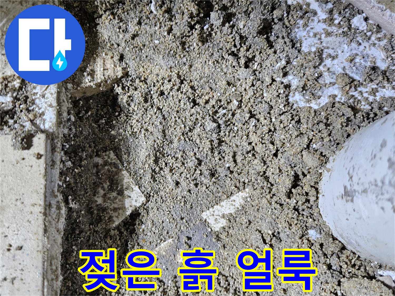 양평 용문면 어수리 누수 - 젖은 흙과 곰팡이 얼룩 - 곰팡이 번식 흔적