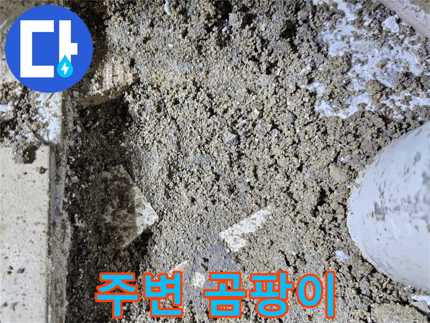양평 용문면 어수리 누수 - 주변 곰팡이 - 천장 누수