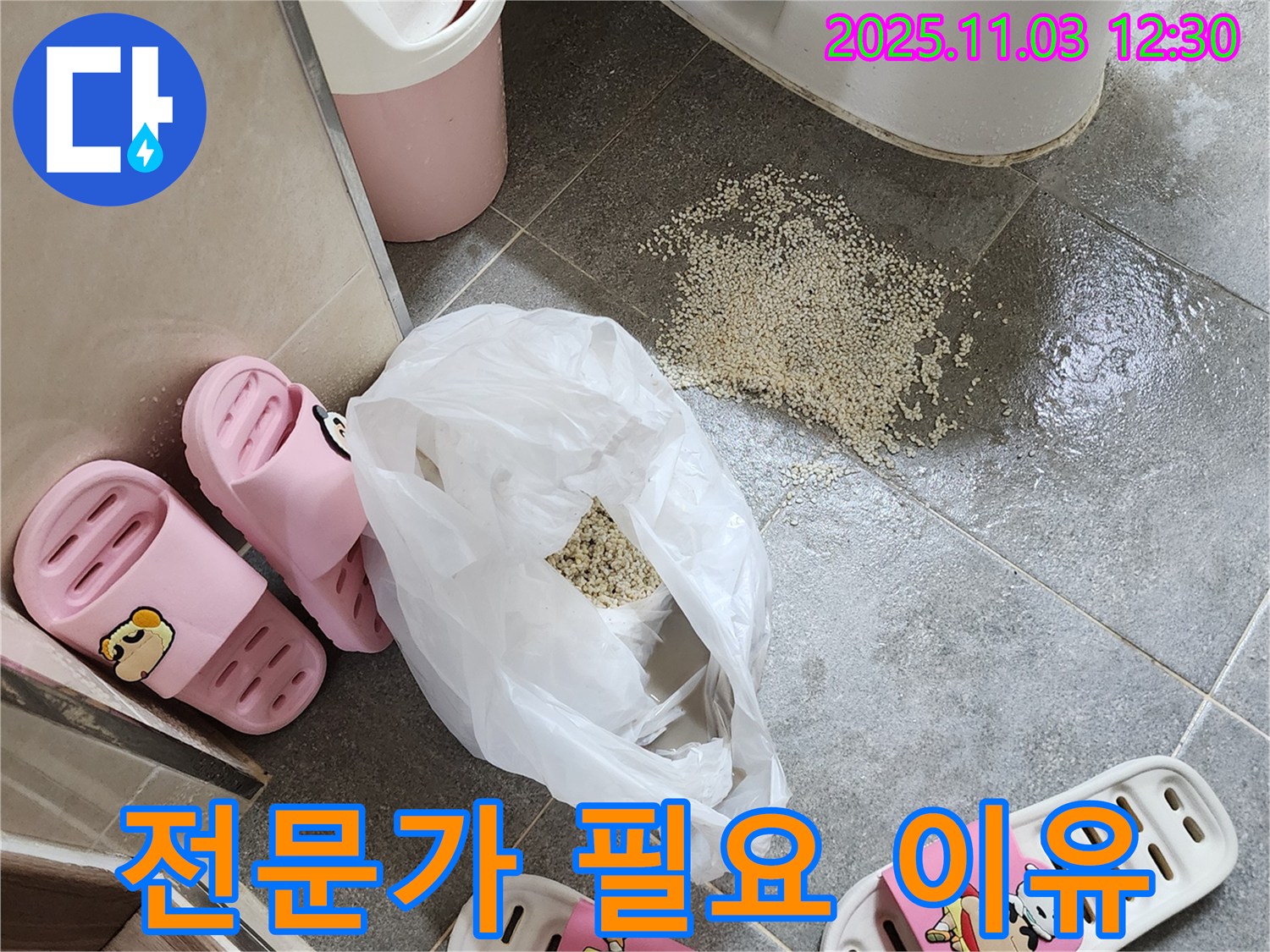 양주 옥정동 백시멘트 시공 - 전문가의 손길