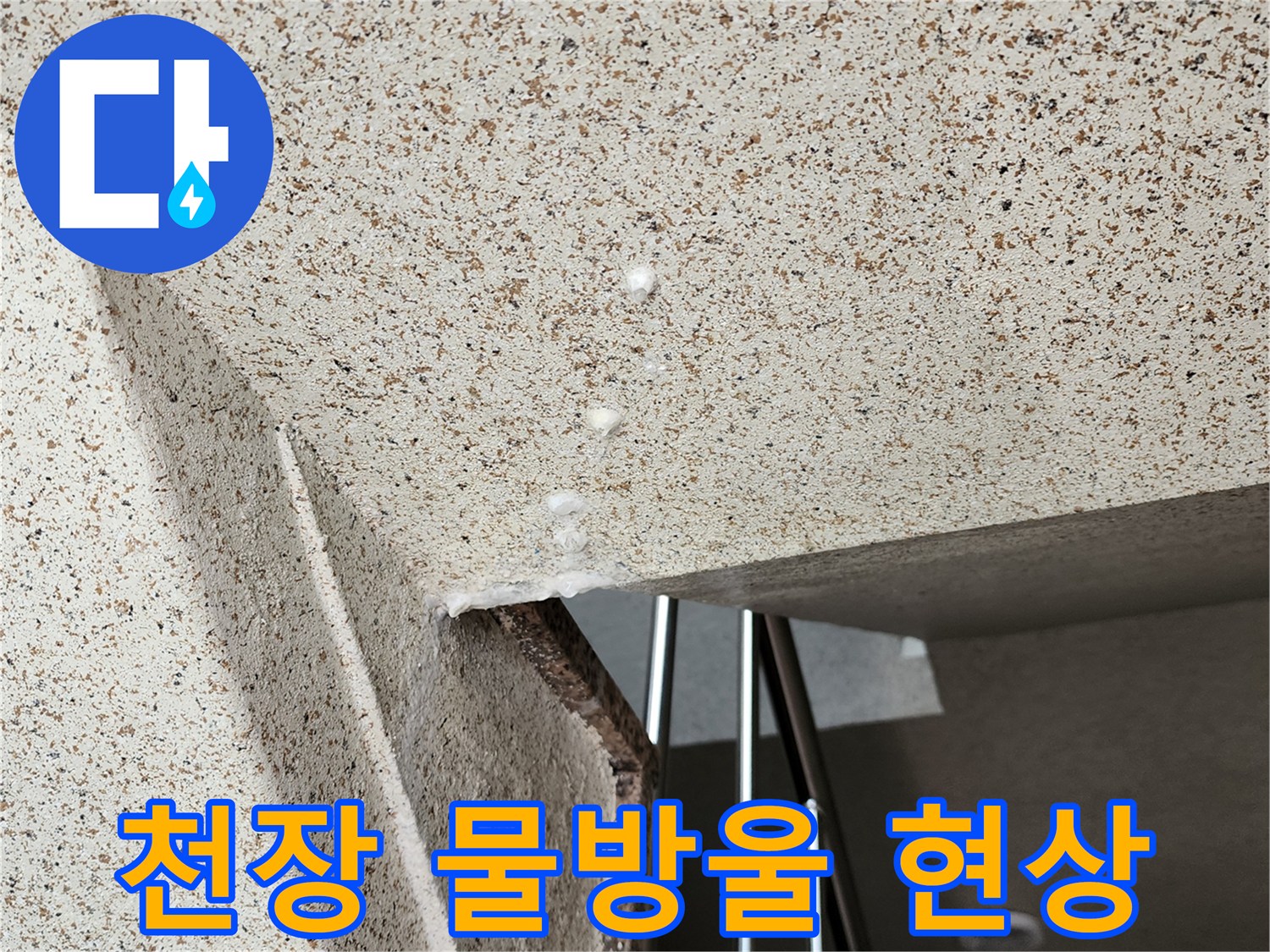 양주시 옥정동 아파트-천장 마감재에 물방울이 맺힌 모습