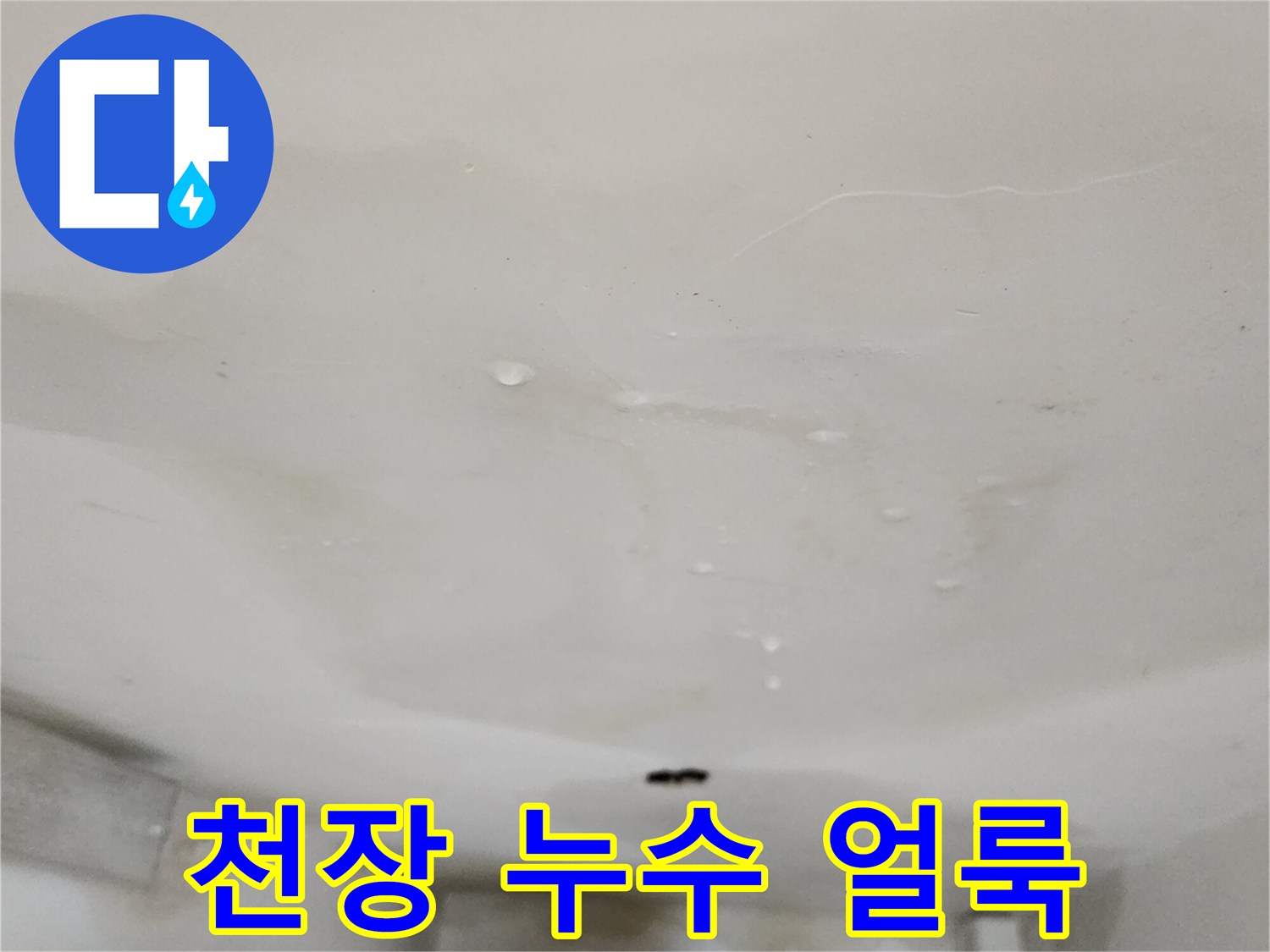 양주시 옥정동 아파트 천장에 발생한 넓은 수분 얼룩과 물방울 현상