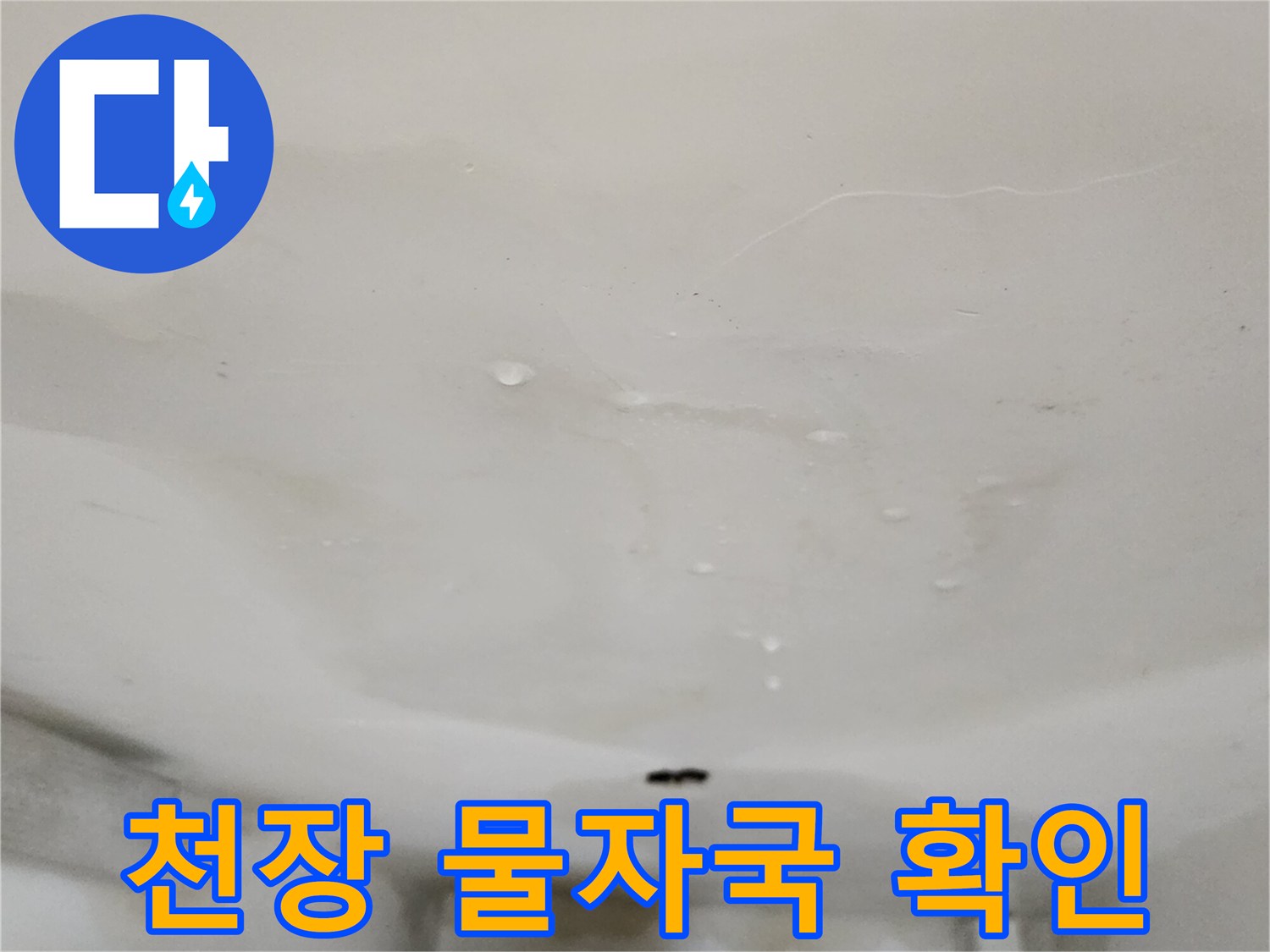 양주시 옥정동 주거지 - 넓게 퍼진 천장 누수 자국