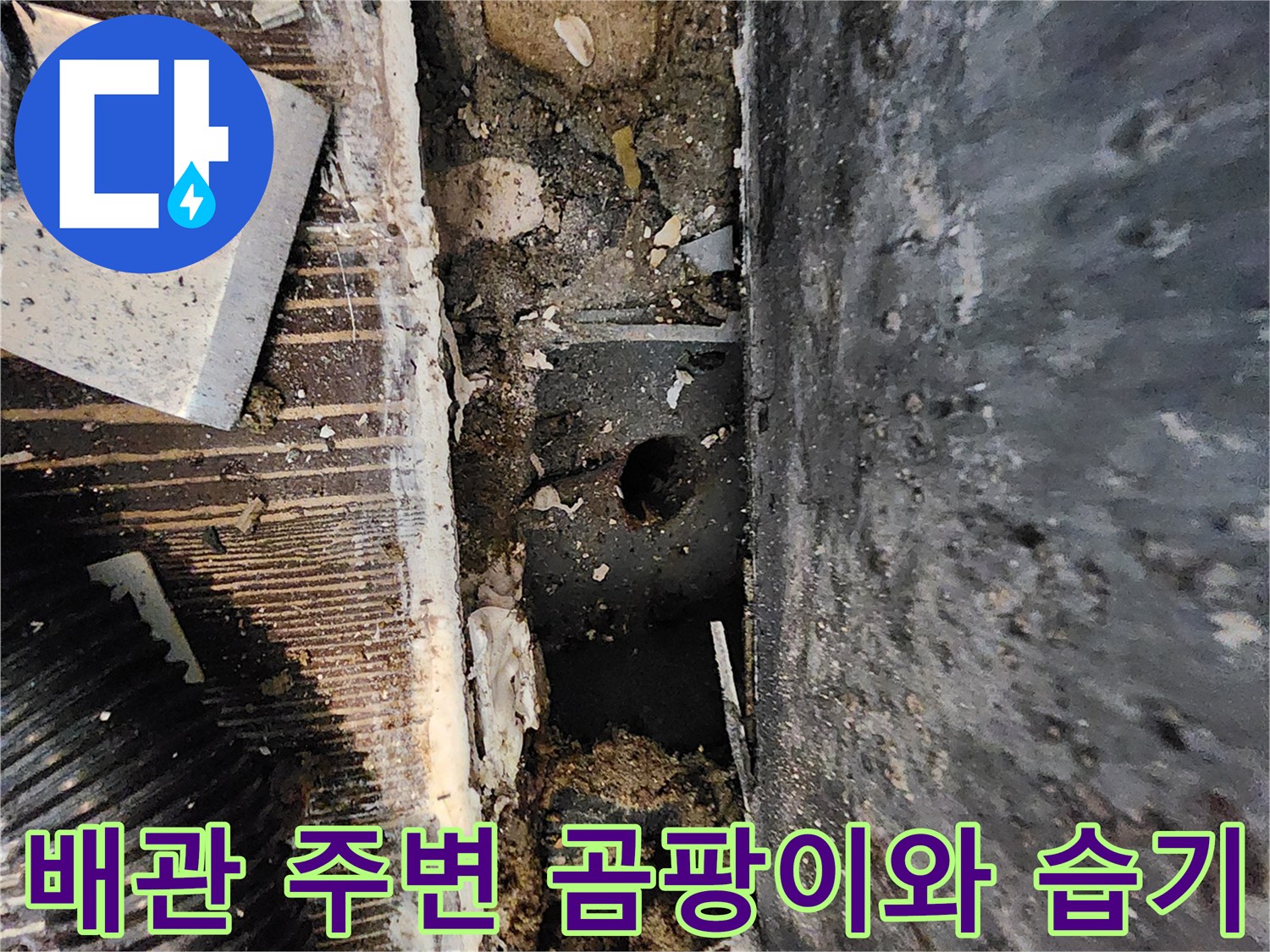 싱크대 아래쪽 배관 주위의 오염된 바닥 및 마감재 상태